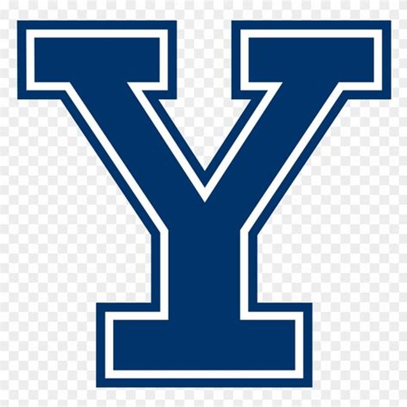 Yale MX-7547B Hoists