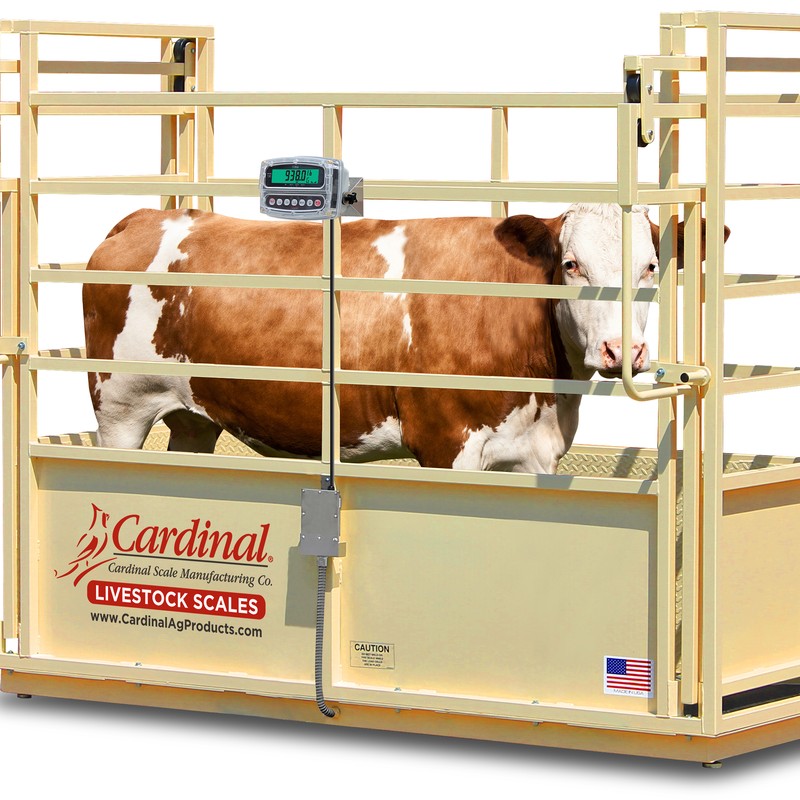 Cardinal Scale TX-6469A Crane Scales