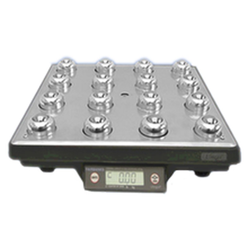 Fairbanks Scales Series-9594-HP Specialty Scales