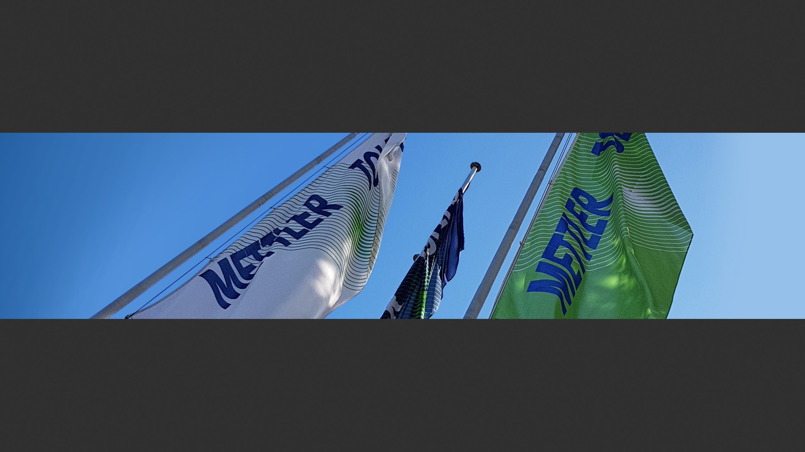 Mettler Toledo TX-3625-Pro Bench Scales