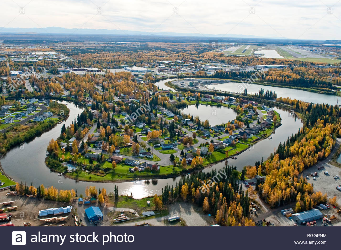 Fairbanks Scales DX-3724-Pro Specialty Scales